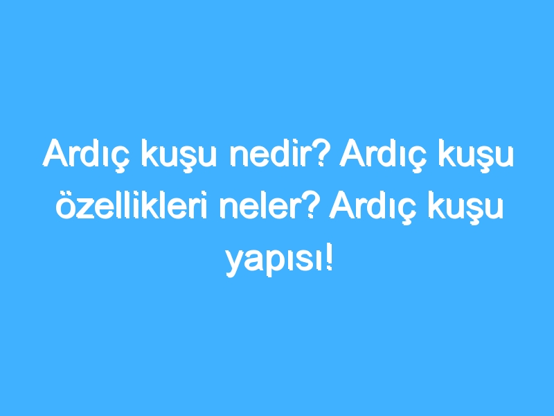 Ardıç kuşu nedir? Ardıç kuşu özellikleri neler? Ardıç kuşu yapısı!