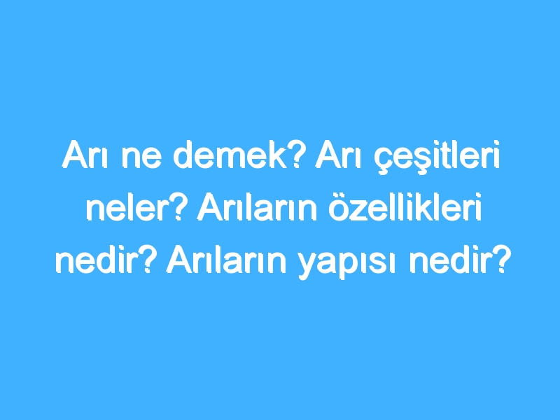 Arı ne demek? Arı çeşitleri neler? Arıların özellikleri nedir? Arıların yapısı nedir?