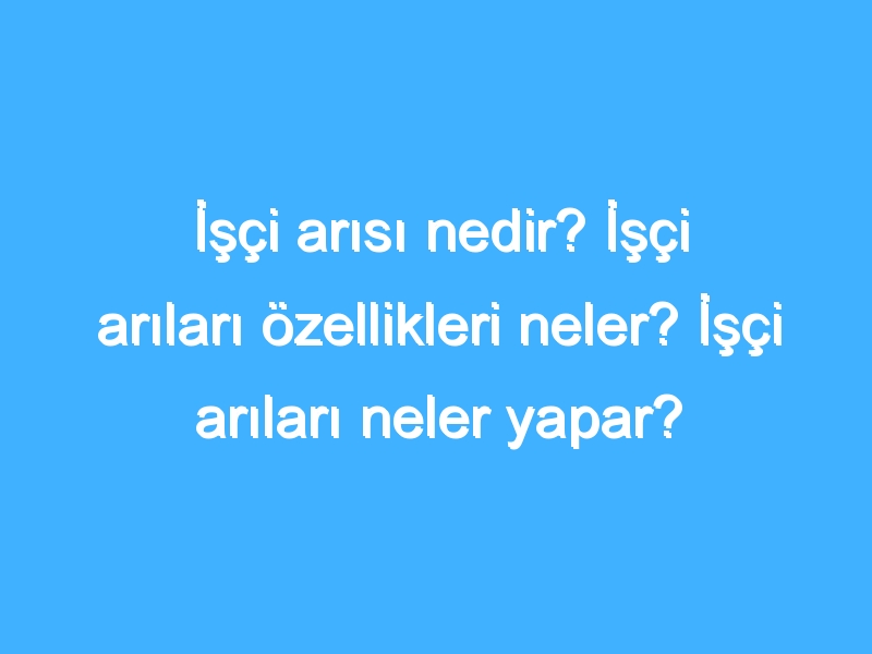 İşçi arısı nedir? İşçi arıları özellikleri neler? İşçi arıları neler yapar?