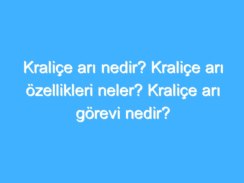 Kraliçe arı nedir? Kraliçe arı özellikleri neler? Kraliçe arı görevi nedir?