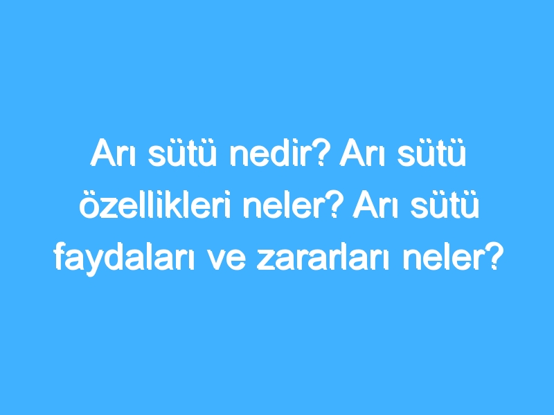 Arı sütü nedir? Arı sütü özellikleri neler? Arı sütü faydaları ve zararları neler?