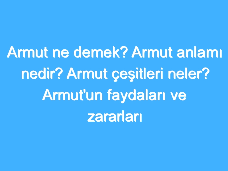 Armut ne demek? Armut anlamı nedir? Armut çeşitleri neler? Armut'un faydaları ve zararları nedir?