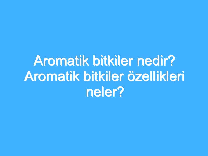 Aromatik bitkiler nedir? Aromatik bitkiler özellikleri neler?