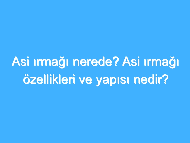 Asi ırmağı nerede? Asi ırmağı özellikleri ve yapısı nedir?