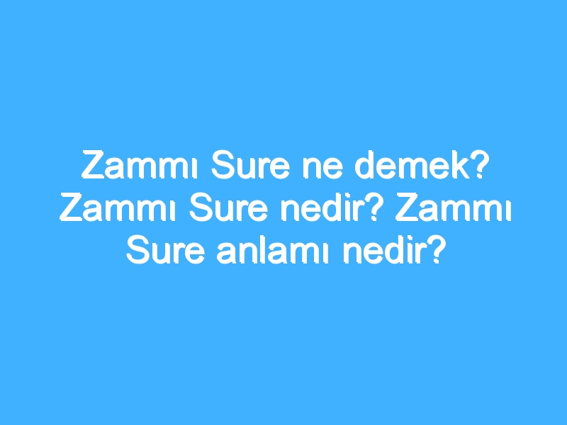 Zammı Sure ne demek? Zammı Sure nedir? Zammı Sure anlamı nedir?