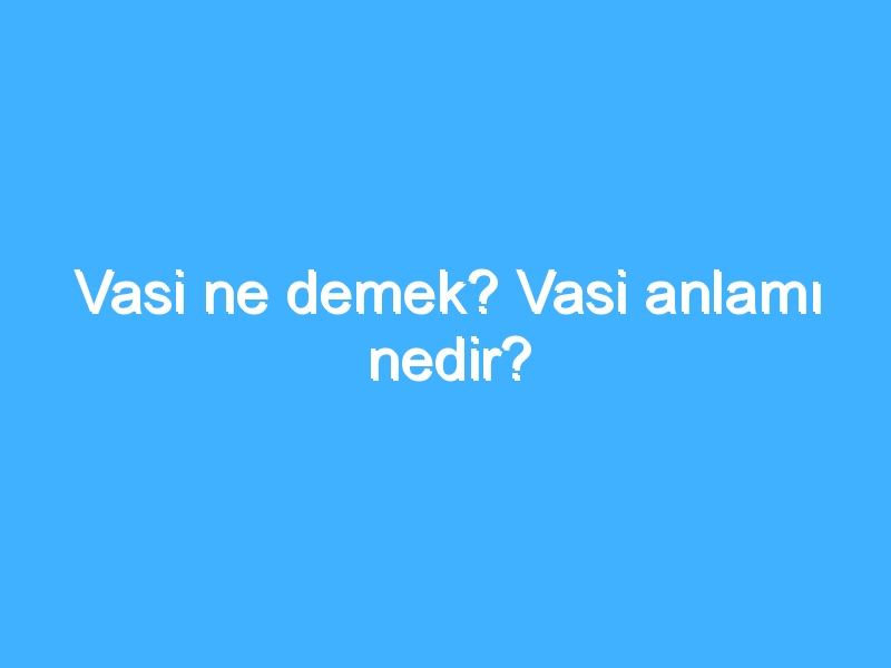 Vasi ne demek? Vasi anlamı nedir?