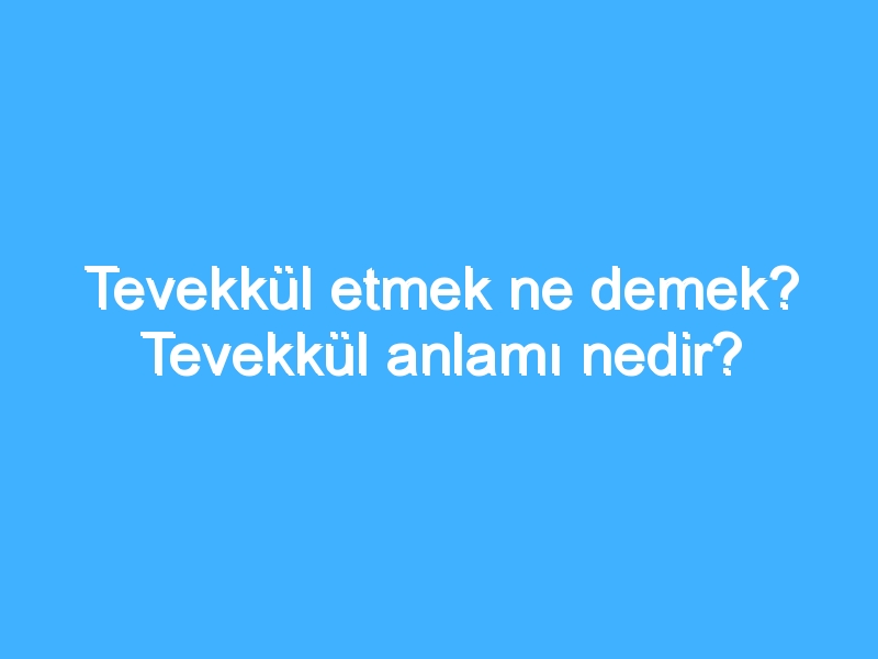 Tevekkül etmek ne demek? Tevekkül anlamı nedir?