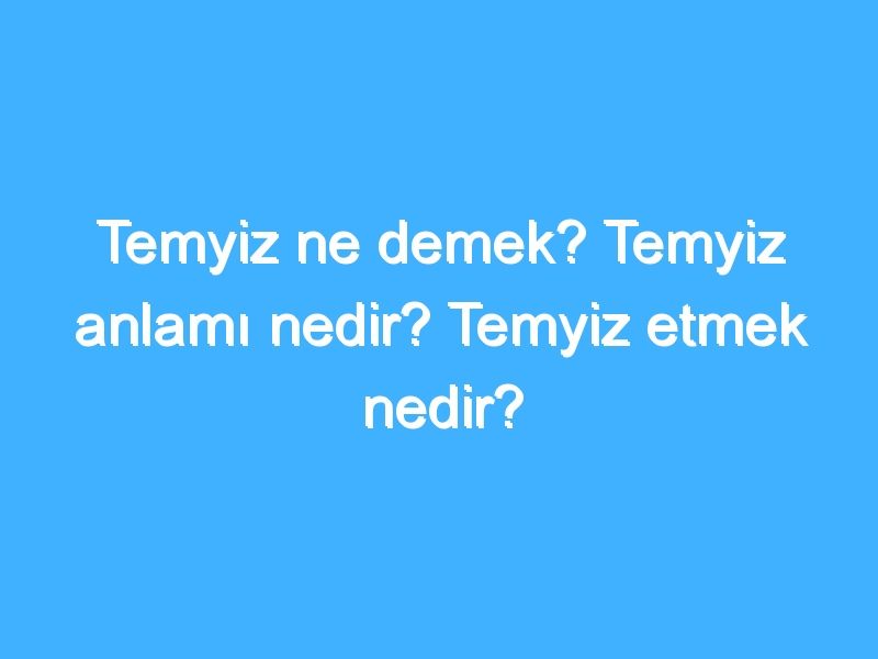 Temyiz ne demek? Temyiz anlamı nedir? Temyiz etmek nedir?