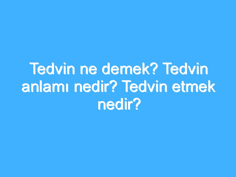 Tedvin ne demek? Tedvin anlamı nedir? Tedvin etmek nedir?