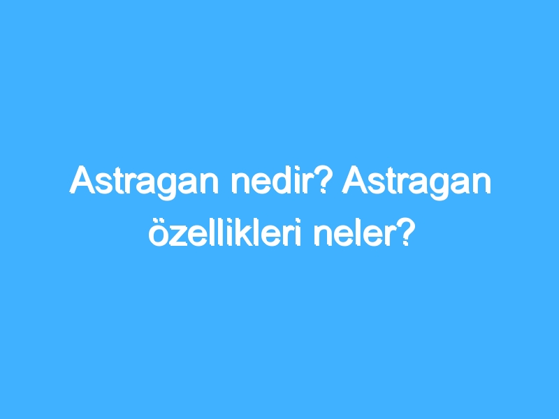 Astragan nedir? Astragan özellikleri neler?