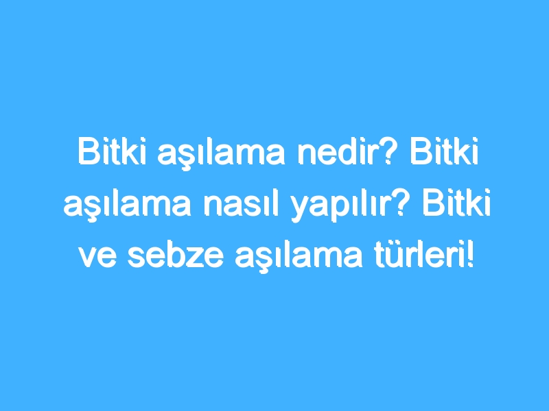 Bitki aşılama nedir? Bitki aşılama nasıl yapılır? Bitki ve sebze aşılama türleri!