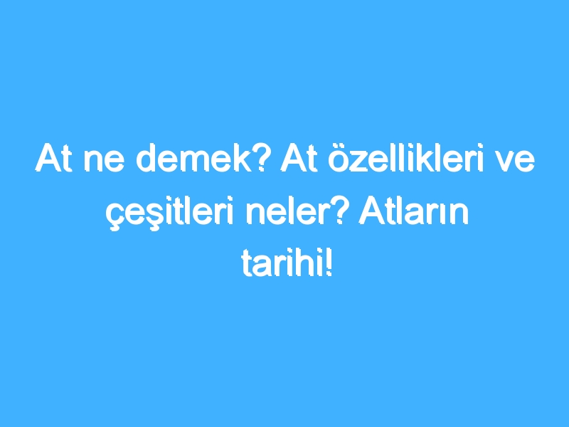 At ne demek? At özellikleri ve çeşitleri neler? Atların tarihi!