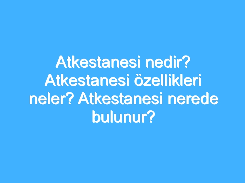 Atkestanesi nedir? Atkestanesi özellikleri neler? Atkestanesi nerede bulunur?