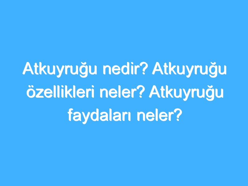 Atkuyruğu nedir? Atkuyruğu özellikleri neler? Atkuyruğu faydaları neler?