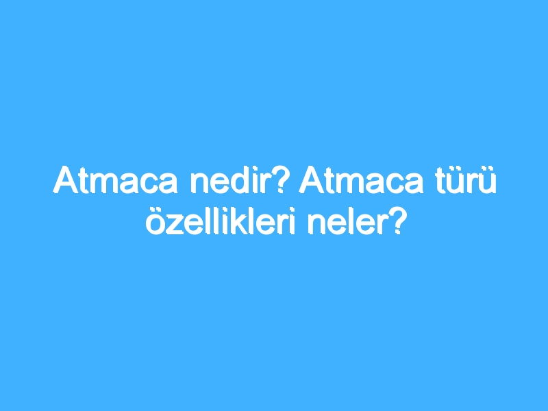 Atmaca nedir? Atmaca türü özellikleri neler?