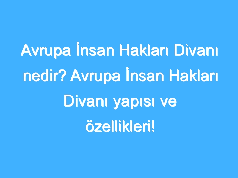 Avrupa İnsan Hakları Divanı nedir? Avrupa İnsan Hakları Divanı yapısı ve özellikleri!