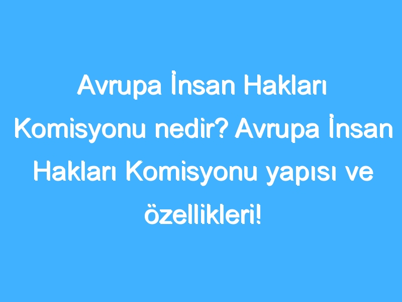 Avrupa İnsan Hakları Komisyonu nedir? Avrupa İnsan Hakları Komisyonu yapısı ve özellikleri!