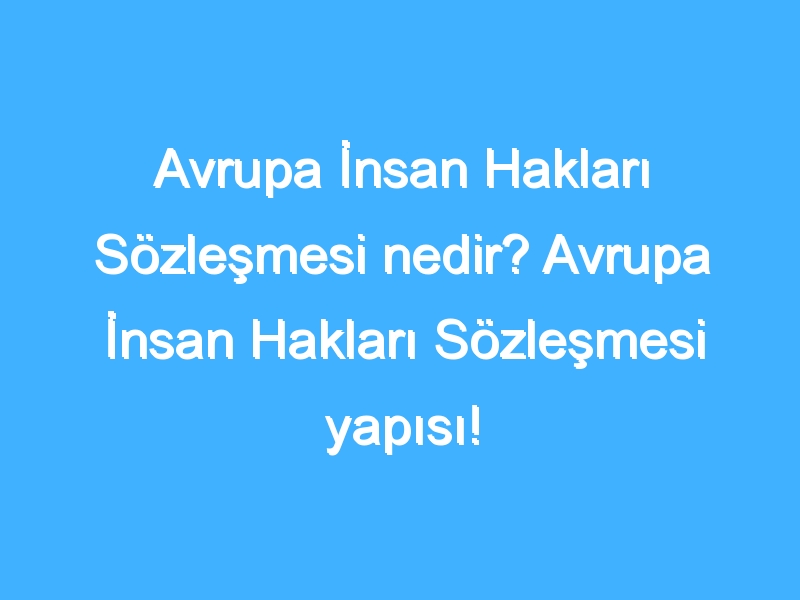 Avrupa İnsan Hakları Sözleşmesi nedir? Avrupa İnsan Hakları Sözleşmesi yapısı!