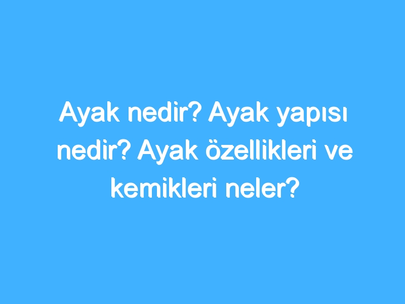 Ayak nedir? Ayak yapısı nedir? Ayak özellikleri ve kemikleri neler?