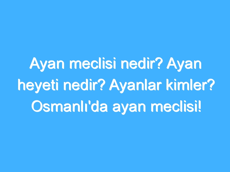 Ayan meclisi nedir? Ayan heyeti nedir? Ayanlar kimler? Osmanlı'da ayan meclisi!