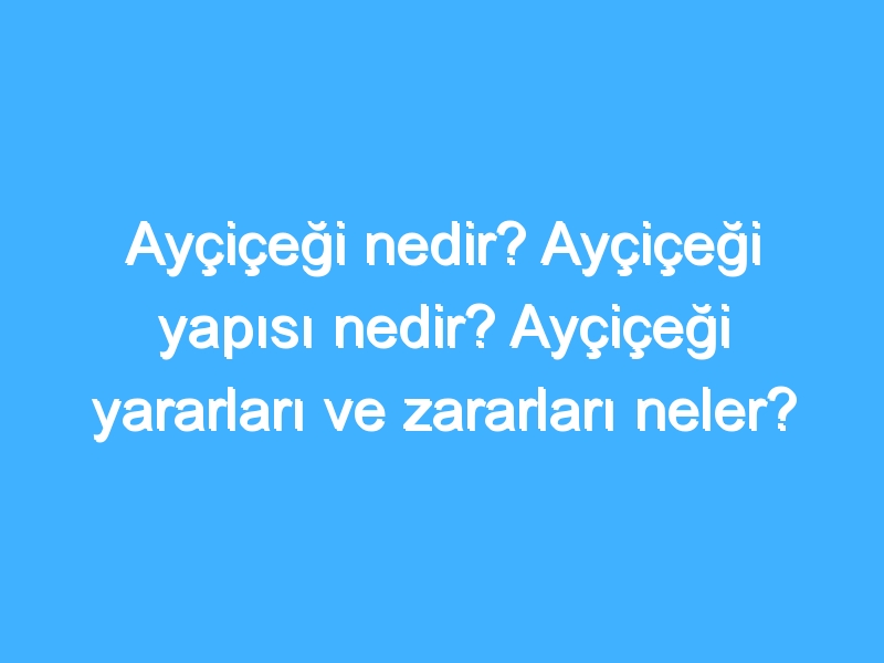 Ayçiçeği nedir? Ayçiçeği yapısı nedir? Ayçiçeği yararları ve zararları neler?