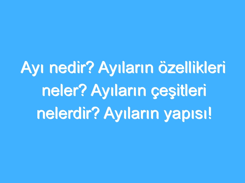 Ayı nedir? Ayıların özellikleri neler? Ayıların çeşitleri nelerdir? Ayıların yapısı!