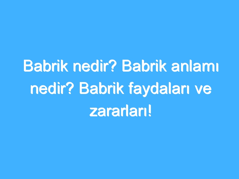 Babrik nedir? Babrik anlamı nedir? Babrik faydaları ve zararları!