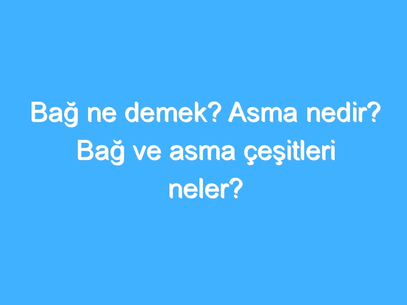 Bağ ne demek? Asma nedir? Bağ ve asma çeşitleri neler?