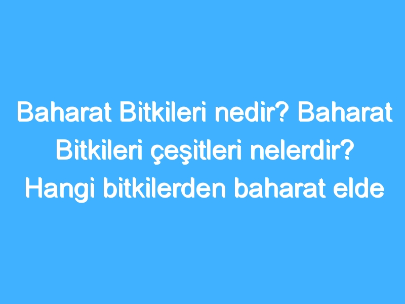 Baharat Bitkileri nedir? Baharat Bitkileri çeşitleri nelerdir? Hangi bitkilerden baharat elde edilir?