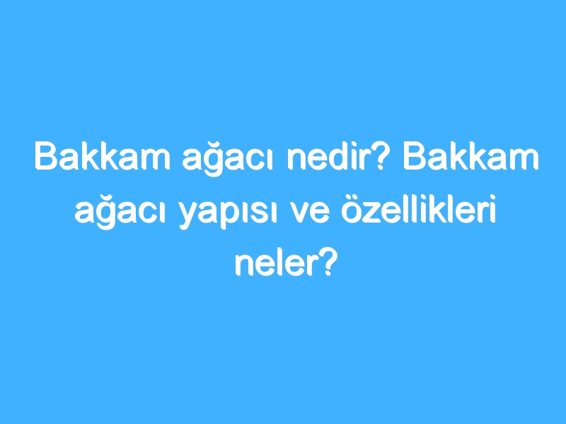 Bakkam ağacı nedir? Bakkam ağacı yapısı ve özellikleri neler?