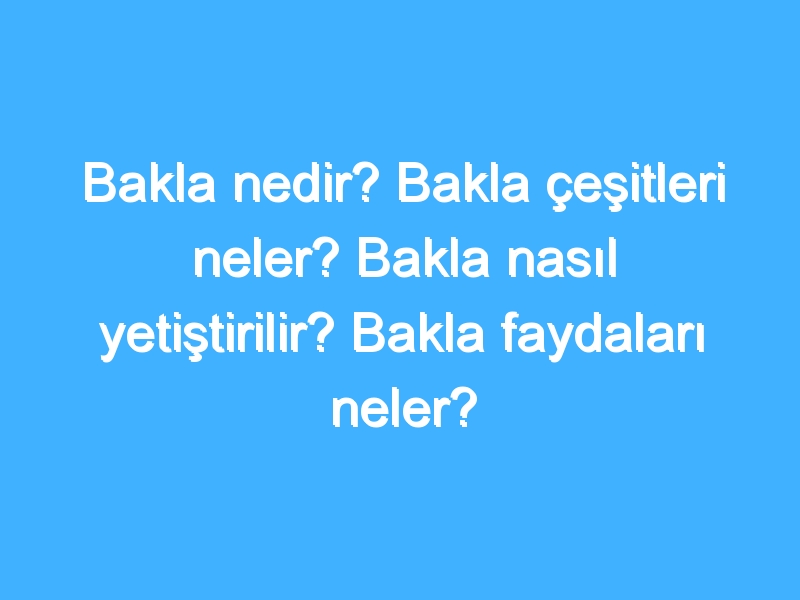 Bakla nedir? Bakla çeşitleri neler? Bakla nasıl yetiştirilir? Bakla faydaları neler?