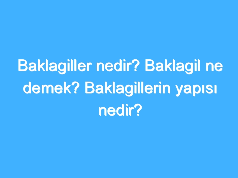 Baklagiller nedir? Baklagil ne demek? Baklagillerin yapısı nedir?