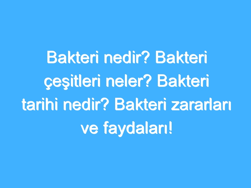 Bakteri nedir? Bakteri çeşitleri neler? Bakteri tarihi nedir? Bakteri zararları ve faydaları!