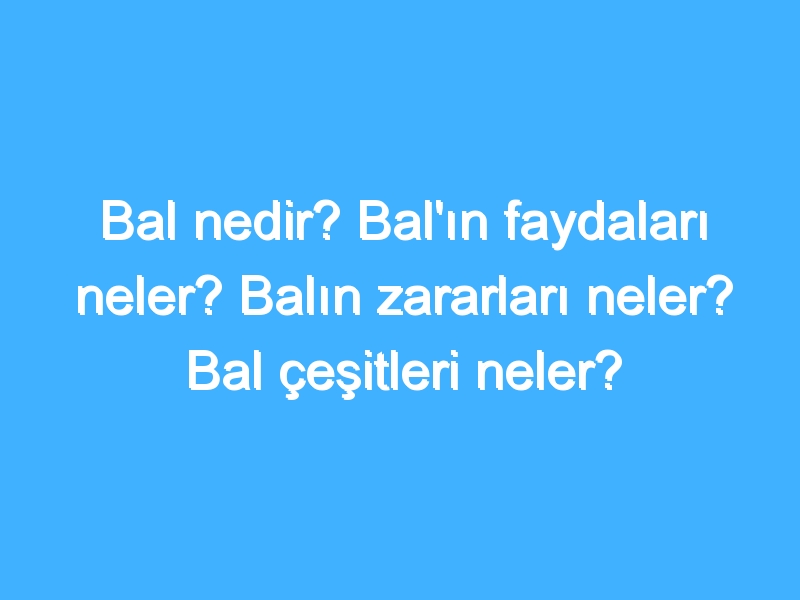 Bal nedir? Bal'ın faydaları neler? Balın zararları neler? Bal çeşitleri neler?