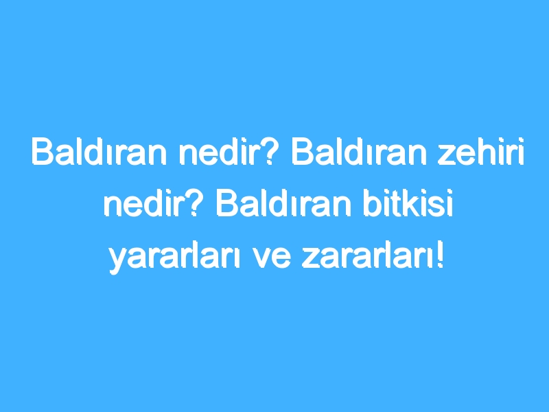 Baldıran nedir? Baldıran zehiri nedir? Baldıran bitkisi yararları ve zararları!