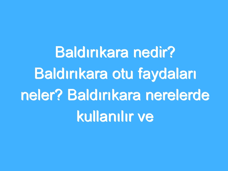 Baldırıkara nedir? Baldırıkara otu faydaları neler? Baldırıkara nerelerde kullanılır ve bulunur?