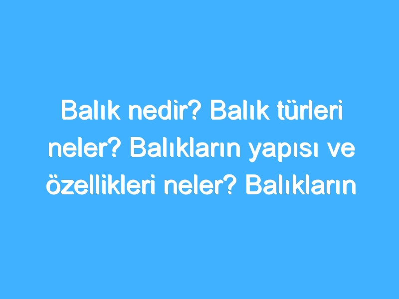 Balık nedir? Balık türleri neler? Balıkların yapısı ve özellikleri neler? Balıkların faydaları neler?