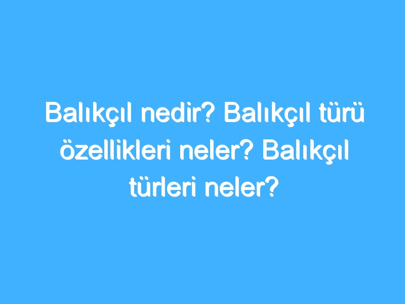 Balıkçıl nedir? Balıkçıl türü özellikleri neler? Balıkçıl türleri neler?