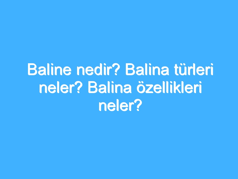 Baline nedir? Balina türleri neler? Balina özellikleri neler?