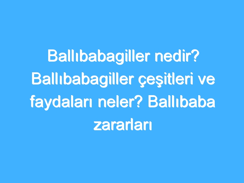 Ballıbabagiller nedir? Ballıbabagiller çeşitleri ve faydaları neler? Ballıbaba zararları neler?