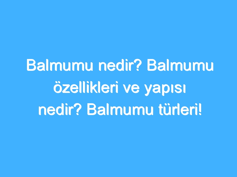 Balmumu nedir? Balmumu özellikleri ve yapısı nedir? Balmumu türleri!