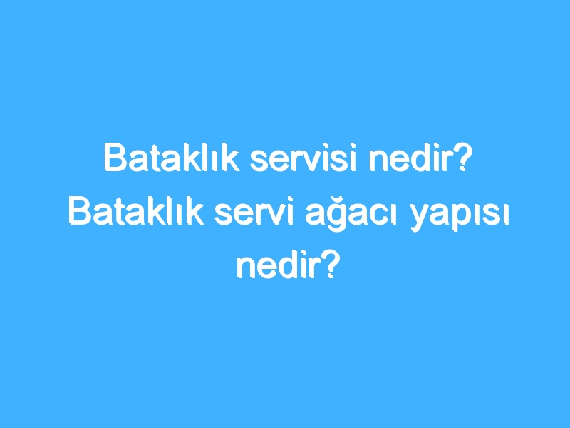 Bataklık servisi nedir? Bataklık servi ağacı yapısı nedir?