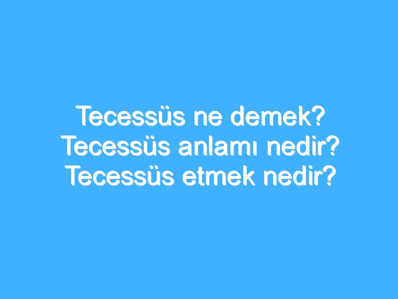 Tecessüs ne demek? Tecessüs anlamı nedir? Tecessüs etmek nedir?