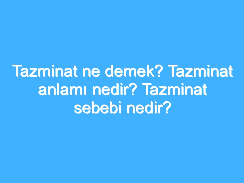 Tazminat ne demek? Tazminat anlamı nedir? Tazminat sebebi nedir?