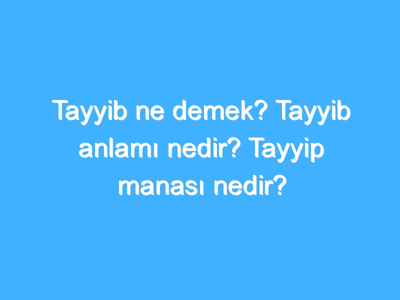 Tayyib ne demek? Tayyib anlamı nedir? Tayyip manası nedir?