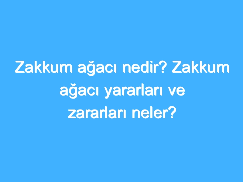 Zakkum ağacı nedir? Zakkum ağacı yararları ve zararları neler?