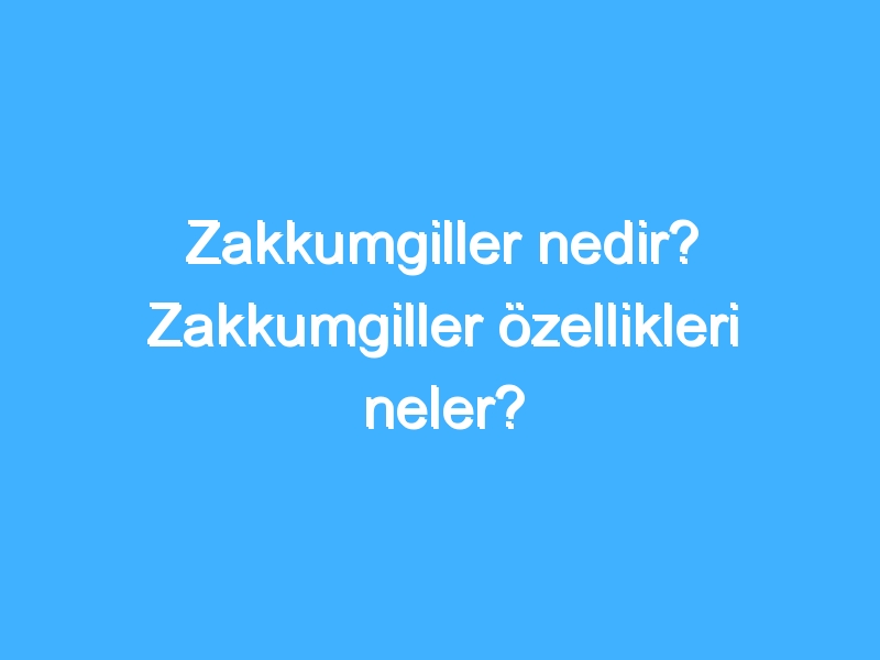 Zakkumgiller nedir? Zakkumgiller özellikleri neler?