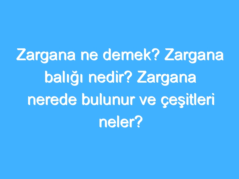 Zargana ne demek? Zargana balığı nedir? Zargana nerede bulunur ve çeşitleri neler?