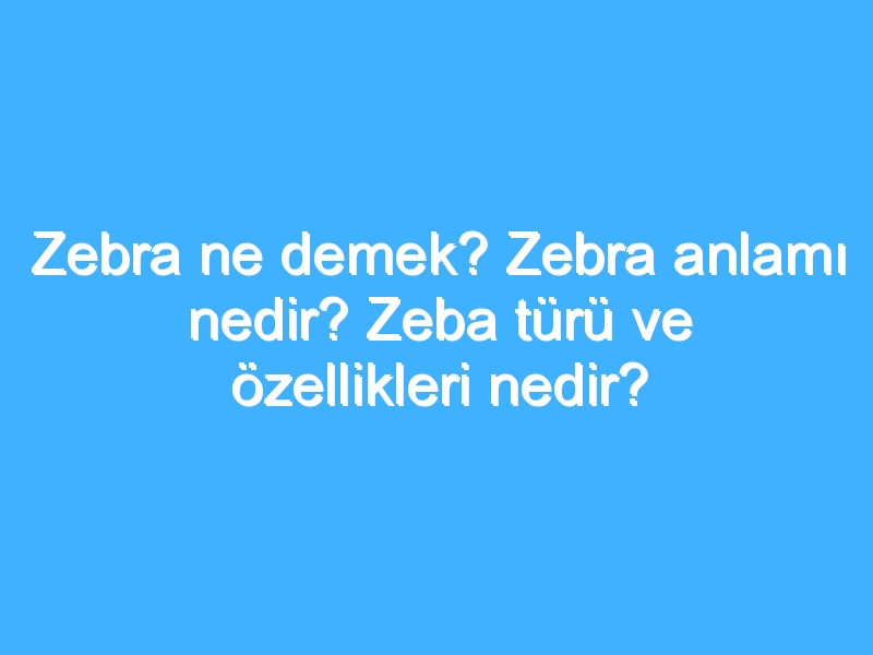 Zebra ne demek? Zebra anlamı nedir? Zeba türü ve özellikleri nedir?