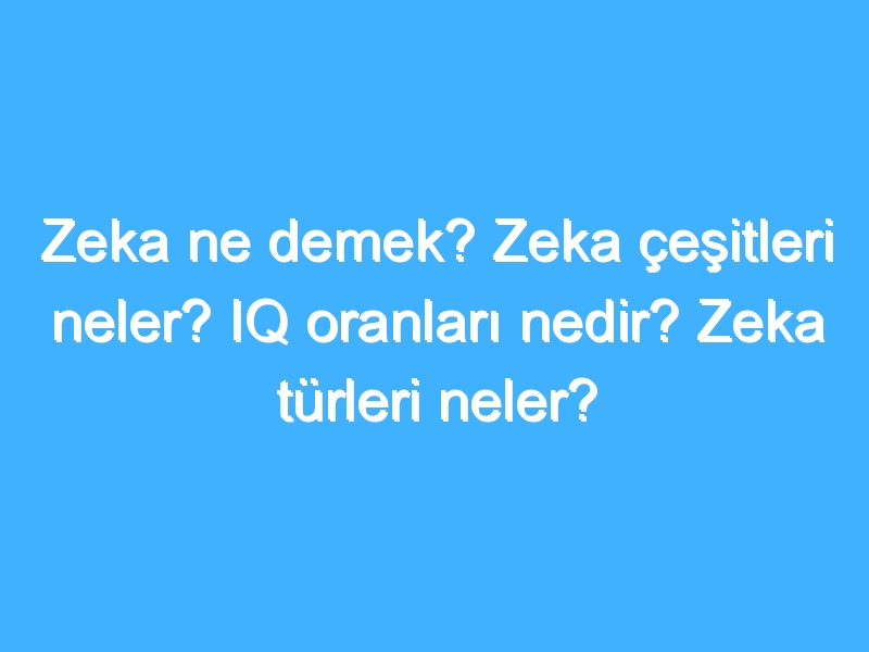 Zeka ne demek? Zeka çeşitleri neler? IQ oranları nedir? Zeka türleri neler?